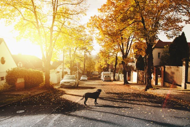 Vila Real, Balneário Camboriú: como é morar no bairro?